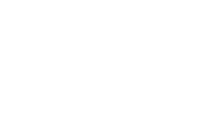 Icon Vision & Strategie