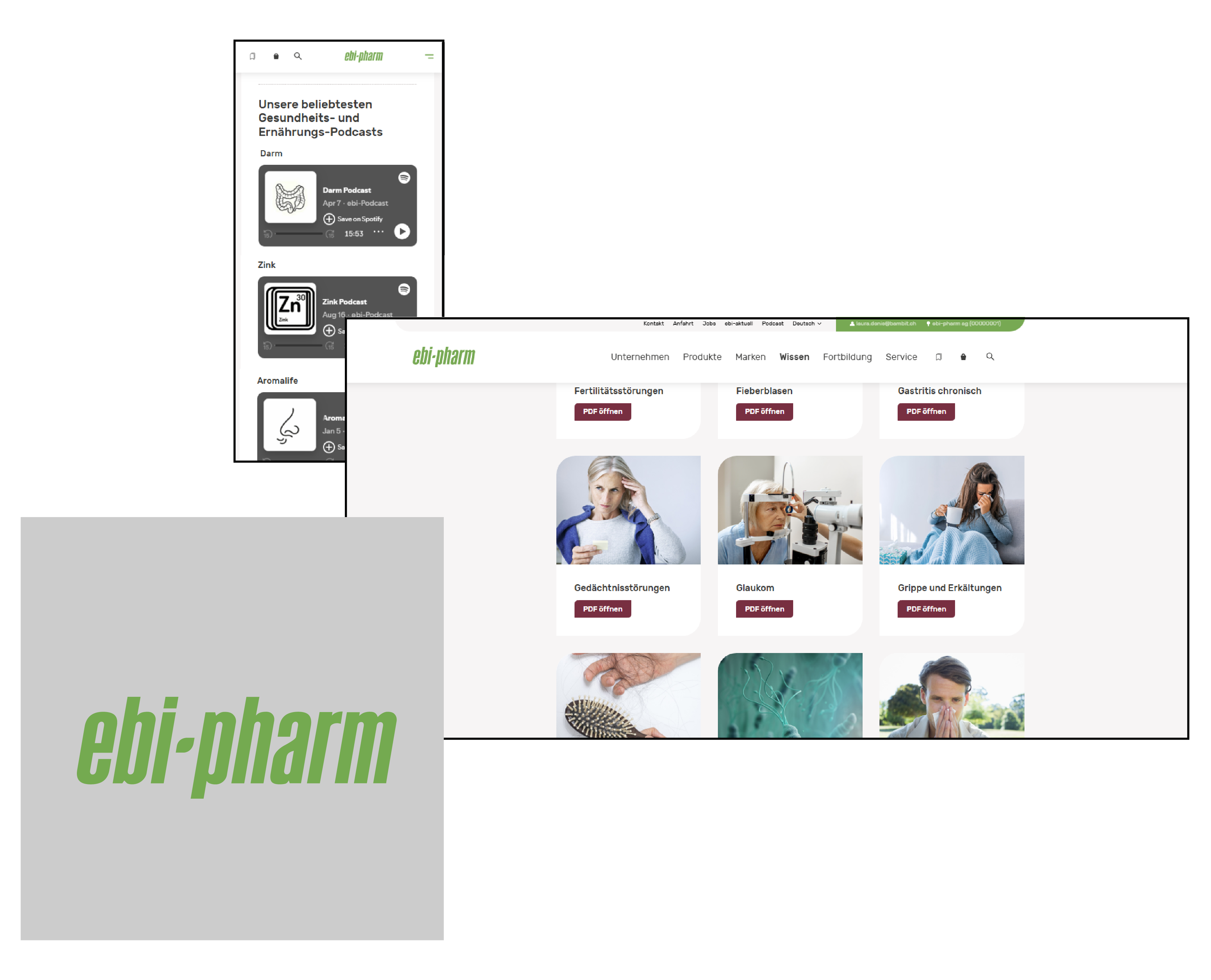 Visual zur Referenz B2B Kundenportal für über 7'000 Ärzte, Apotheker und Heilpraktiker