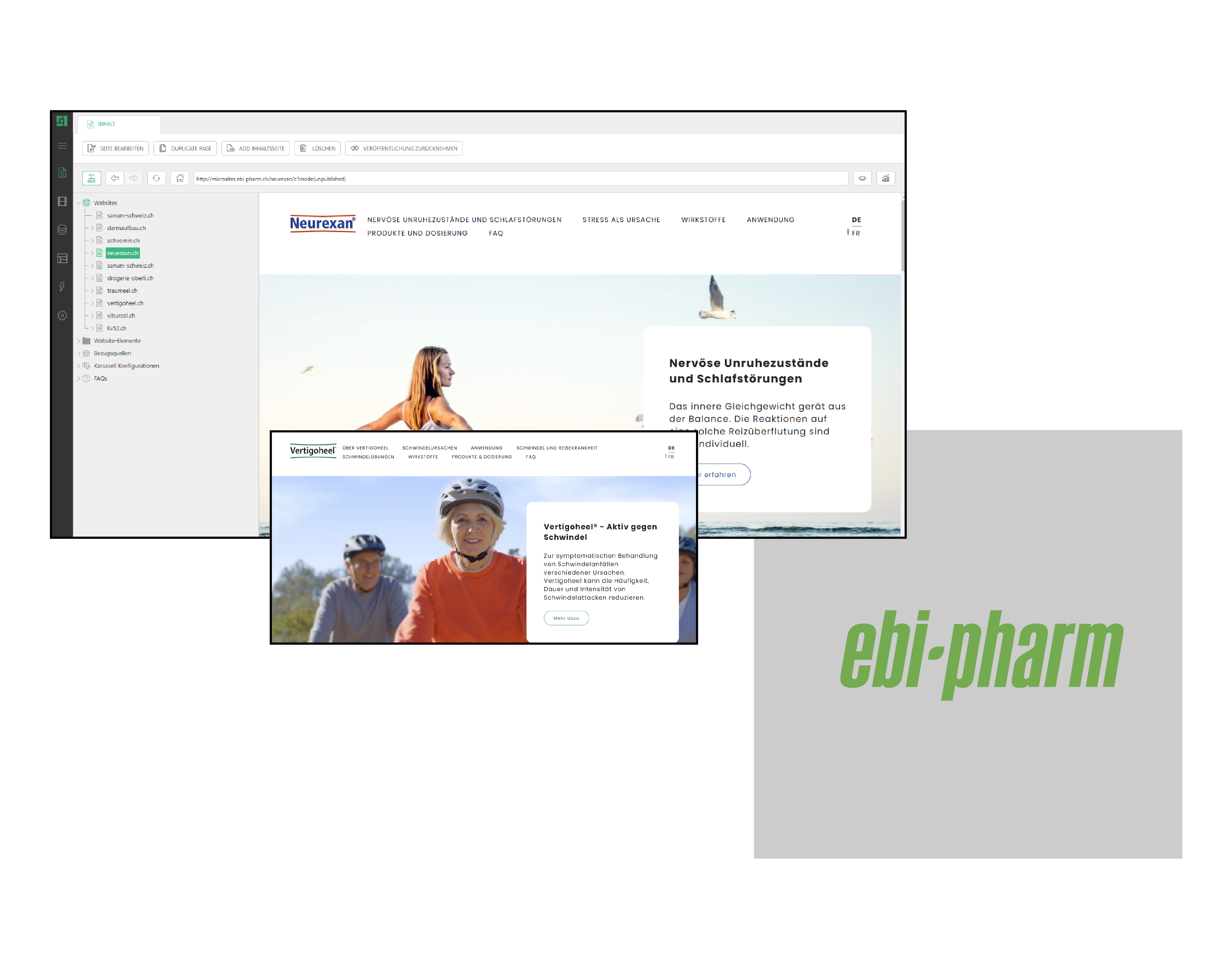 Visual zur Referenz Multi-Site Webplattform